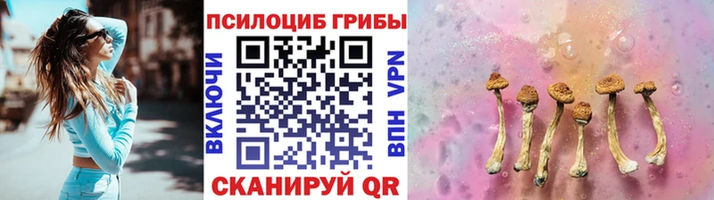 Галлюциногенные грибы Cubensis  Мамоново 